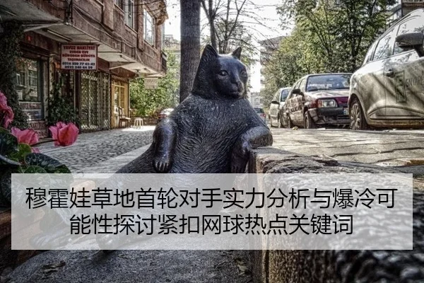 穆霍娃草地首轮对手实力分析与爆冷可能性探讨紧扣网球热点关键词